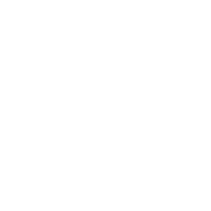 US Air Force official seal.
