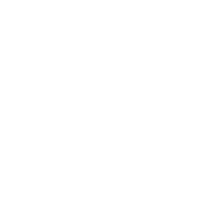 US Space Force official seal.