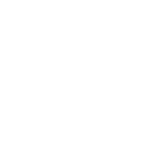 VA official seal.